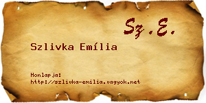 Szlivka Emília névjegykártya